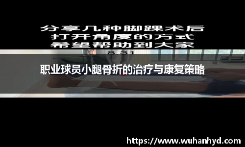 体育指南